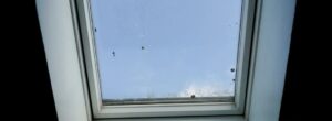 common skylight problems