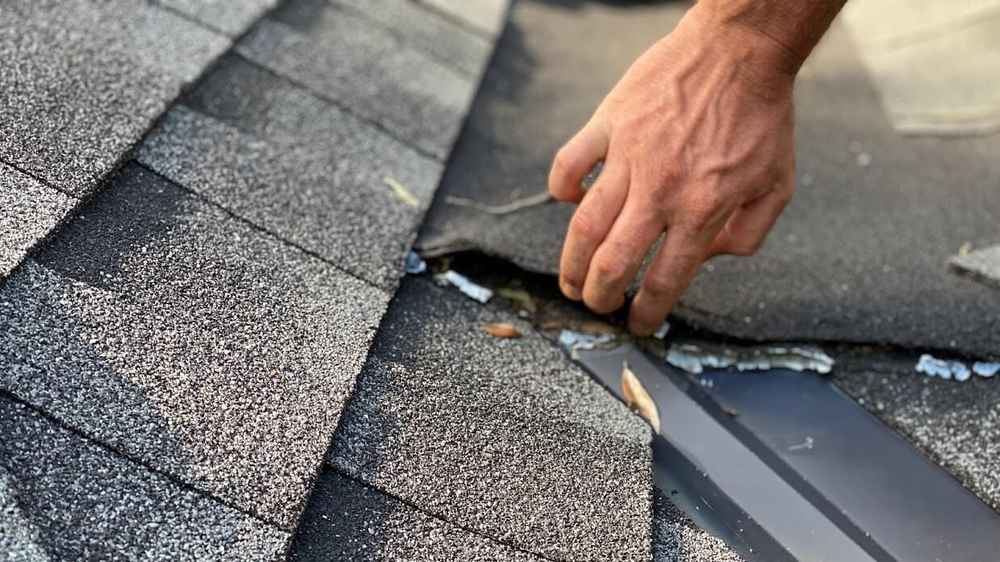 trusted local roofers in Tampa